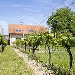 Casa de hóspedes Alenka Valtice