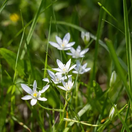 Penzion Alenka