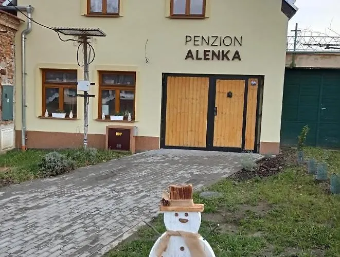 Πανσιόν Alenka 3*